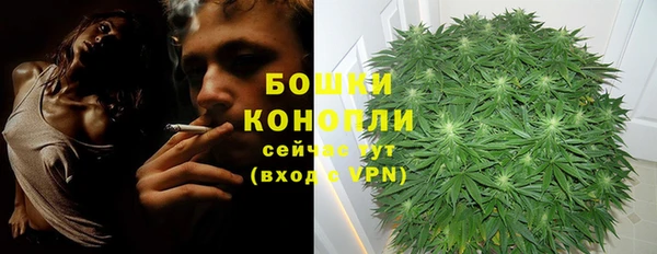 ECSTASY Богородицк